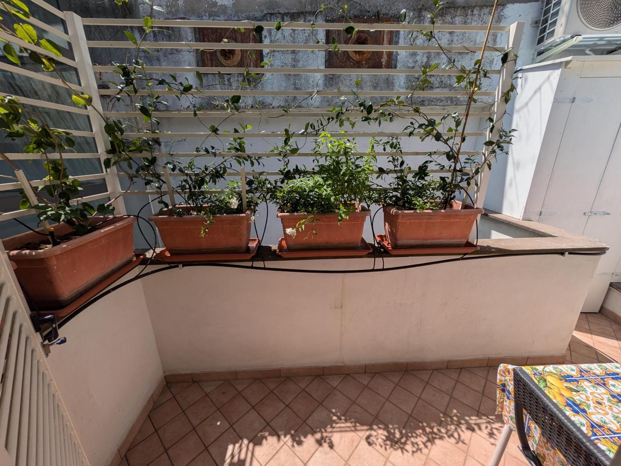 Olimpico Pied A Terre - Casa Apartment Rom